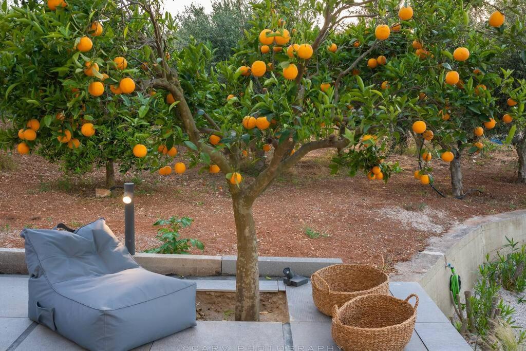 Orange Tree Porto Heli Exterior foto